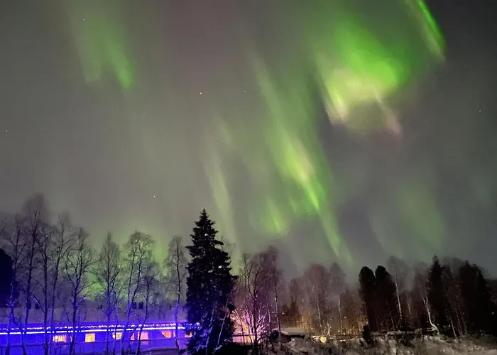 Lomavekarit روفانييمي