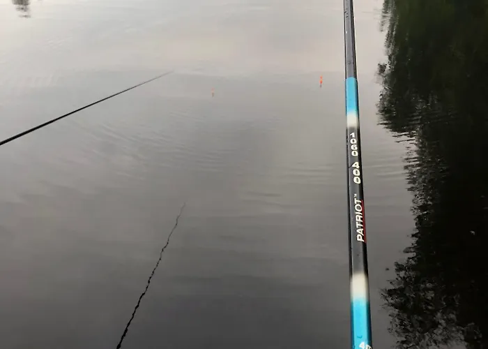 Lomavekarit روفانييمي