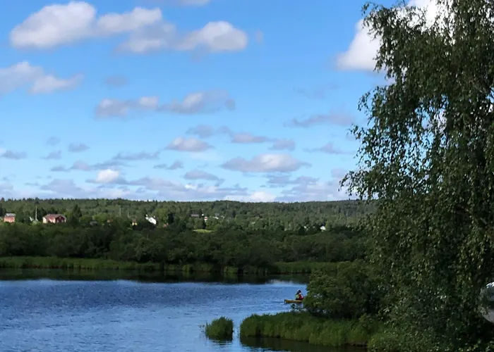 Lomavekarit روفانييمي