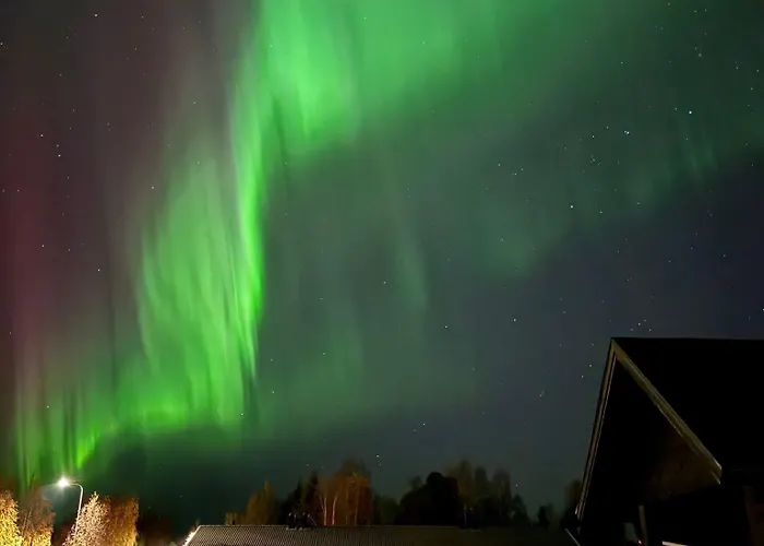 Lomavekarit * روفانييمي