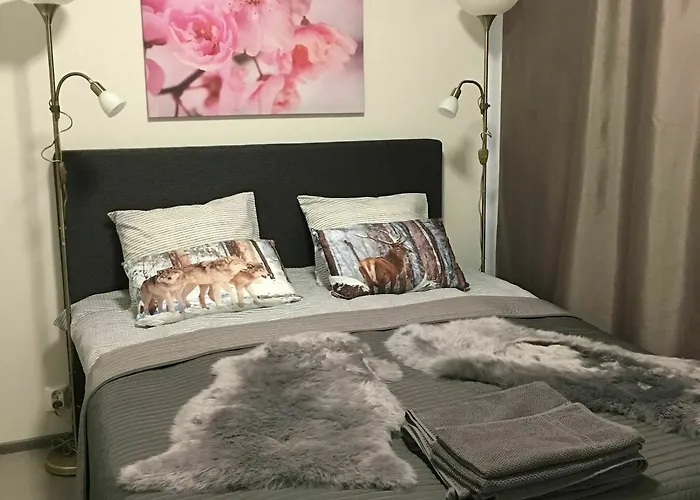 Lomavekarit منزل ريفي روفانييمي