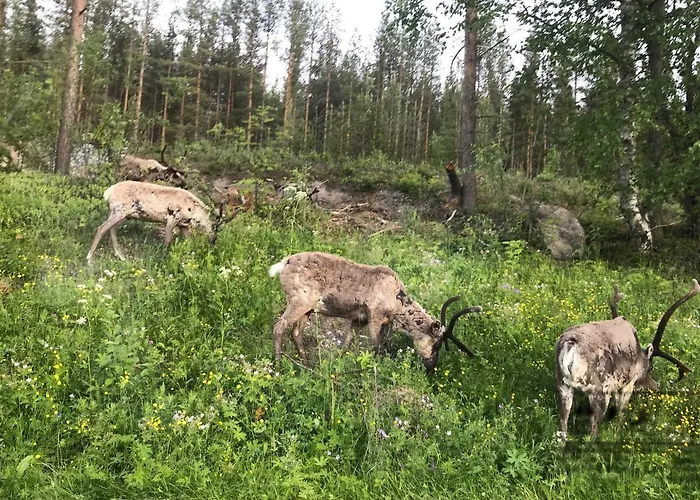 منزل ريفي Lomavekarit