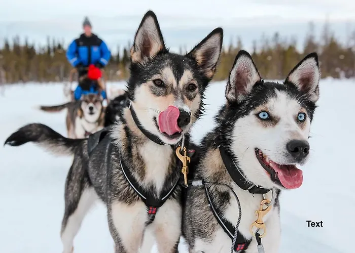 منزل ريفي Lomavekarit