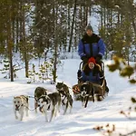 Lomavekarit *