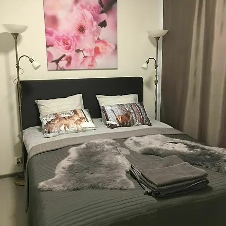 Lomavekarit Kır Evi Rovaniemi